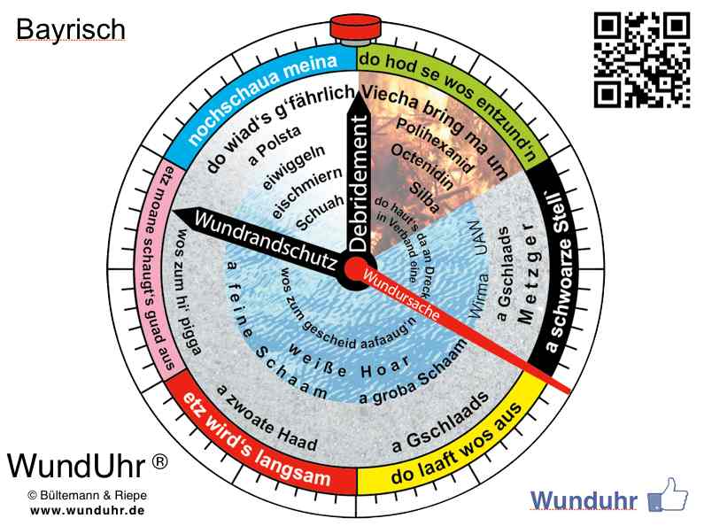 Bild zu Thomas Bonkowski